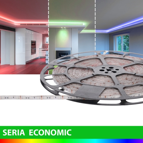 -1EH024-050-10-RGB99.jpg
