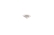 cc-anz_2.jpg