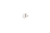 cc-anz_3.jpg