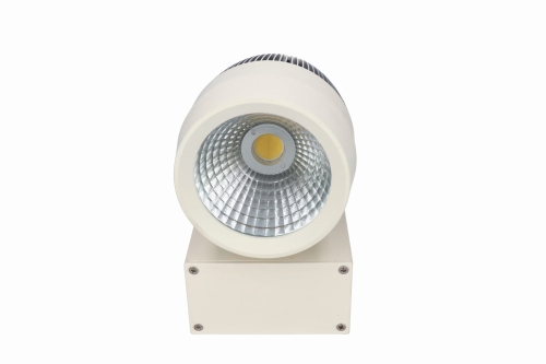 opsz-pr-20w-nw 1.jpg
