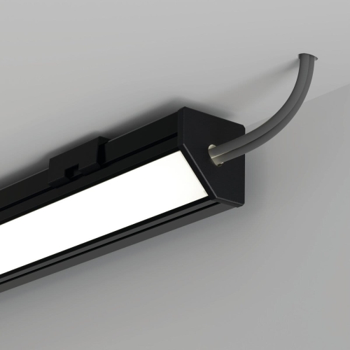 wiz C20007C07TWUH_2.jpg