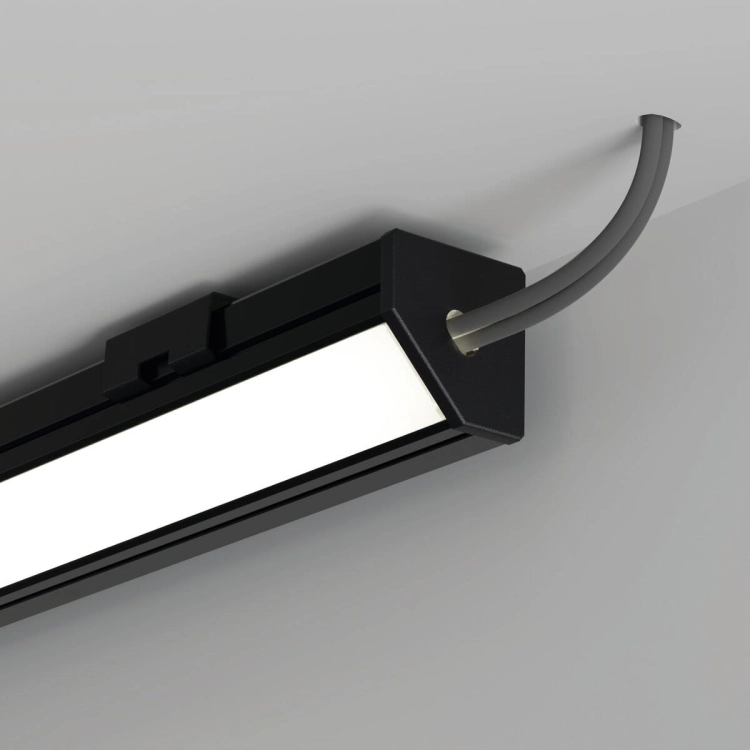 wiz C20007C07TWUH_2.jpg