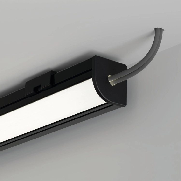 wiz C20008C07TWUH_2.jpg