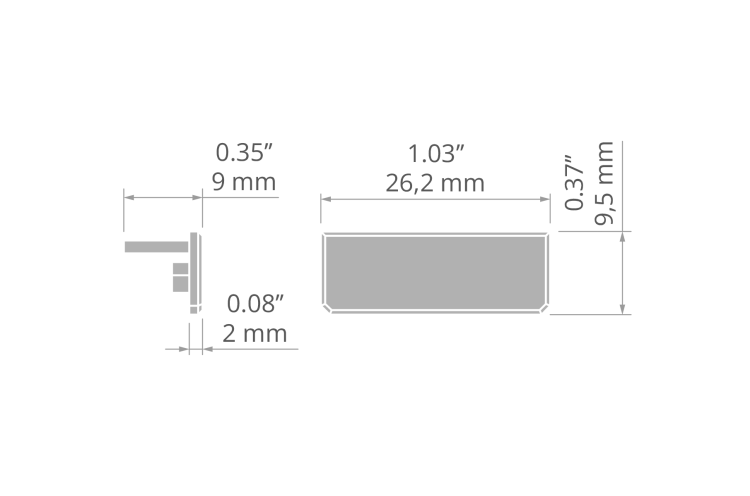rys 24007T.jpg