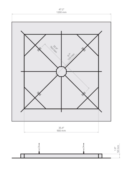 rys C24558T.jpg