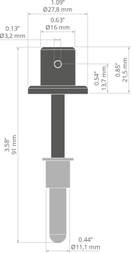 rys 00097T.jpg