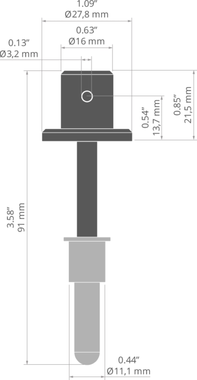 rys 00097T.jpg