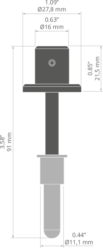rys 00093T.jpg