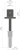rys 00093T.jpg