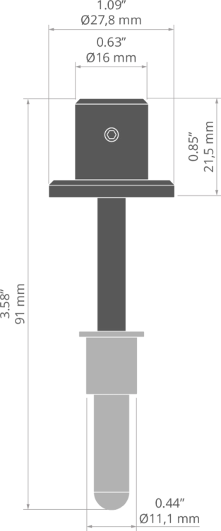 rys 00093T.jpg