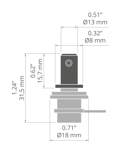 rys C28264T.jpg