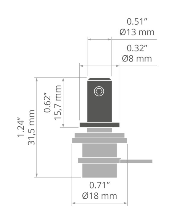 rys C28264T.jpg