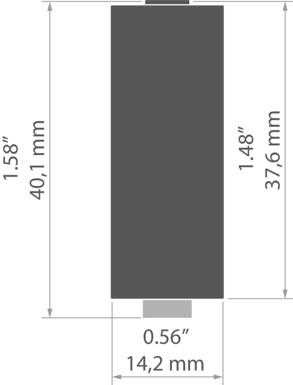 rys 42276T.jpg