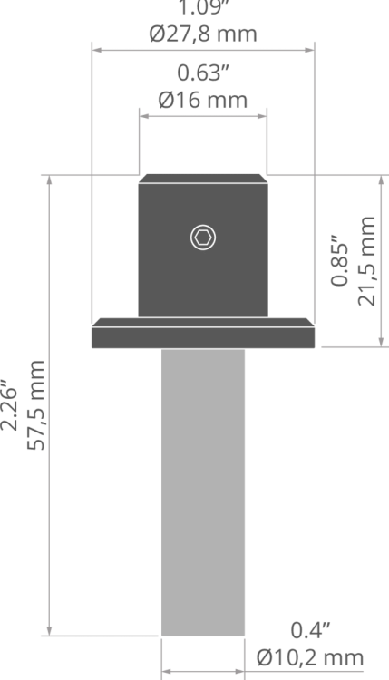 rys 42552T.jpg