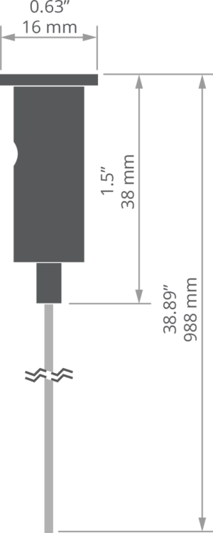 rys 42647NIT.jpg