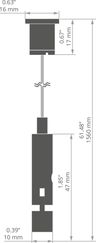 rys 42653T.jpg