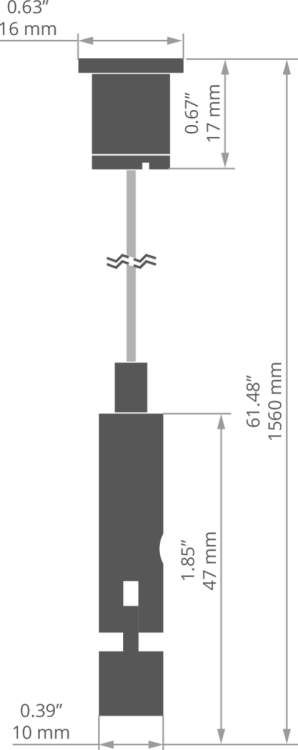 rys 42653T.jpg