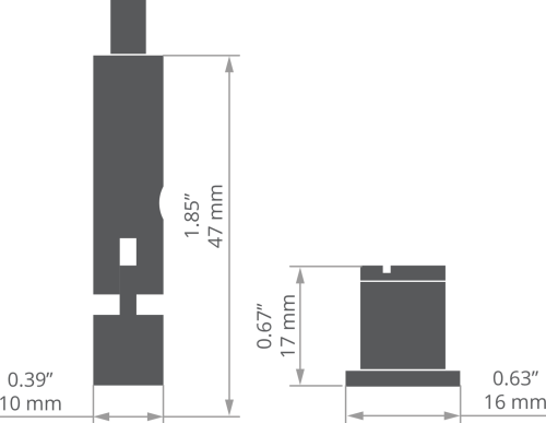 rys 42657T.jpg
