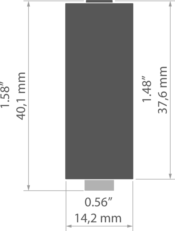rys 42275T.jpg