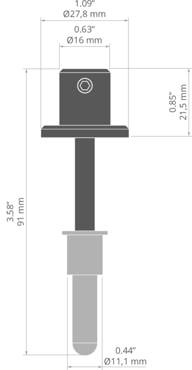 rys C20012T.jpg