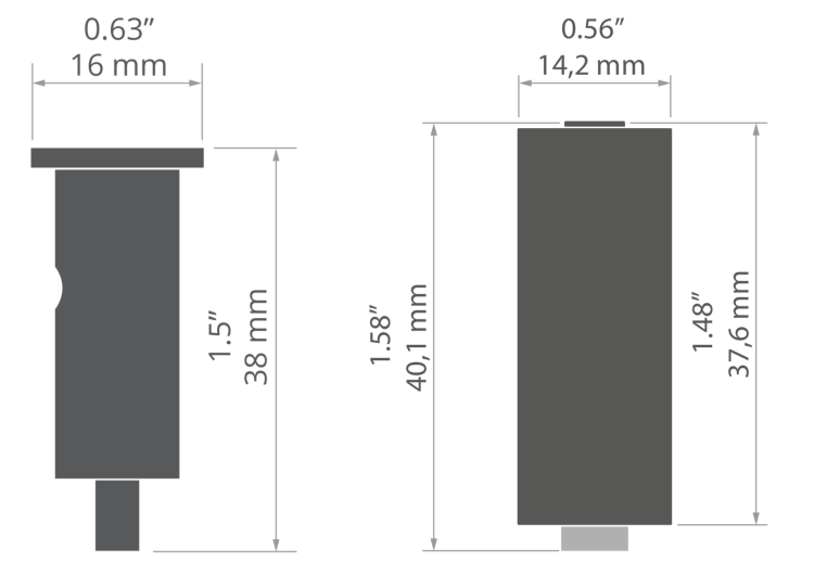 rys C28131T.jpg