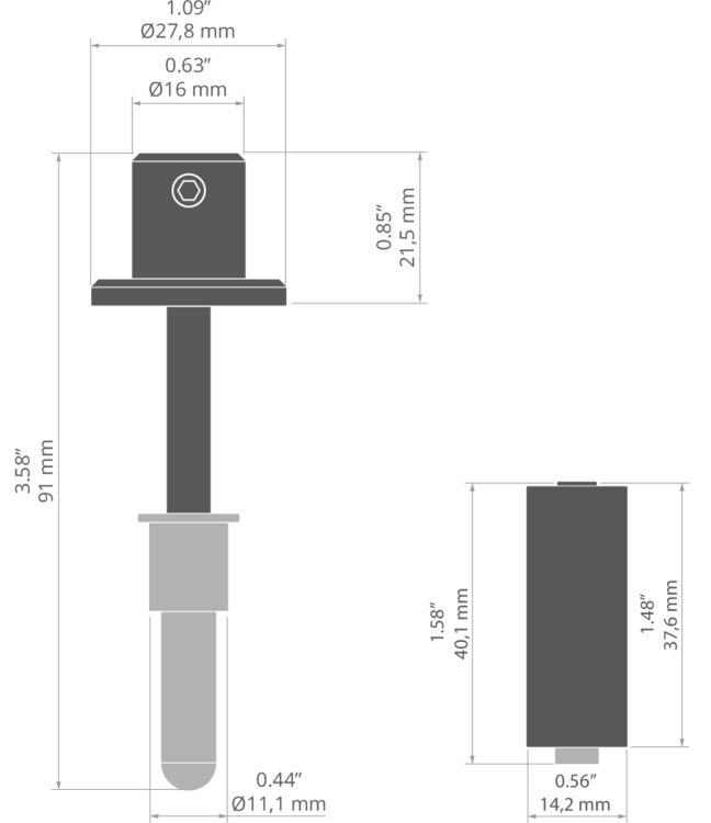 rys C28130T.jpg