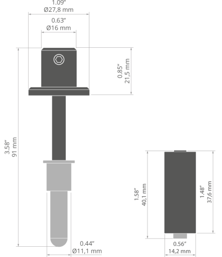 rys C28130T.jpg