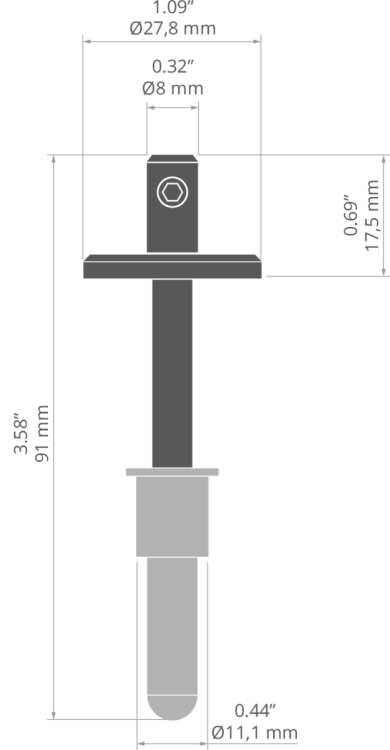 rys C20013T.jpg
