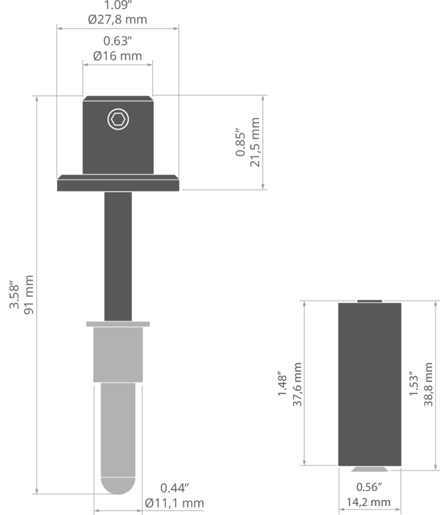 rys C28132T.jpg