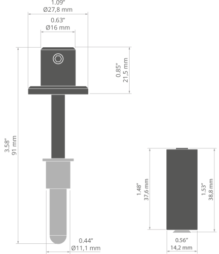 rys C28132T.jpg