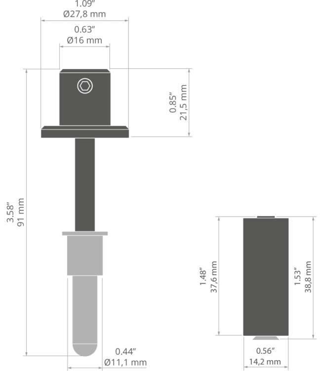 rys C28132T.jpg
