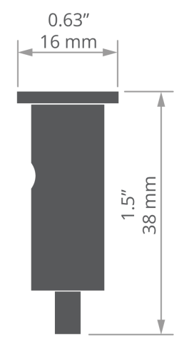 rys C28138T.jpg
