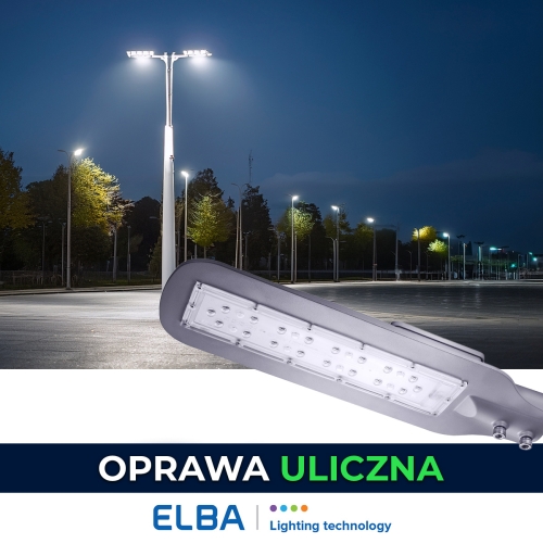 butterfly 01 front.jpg