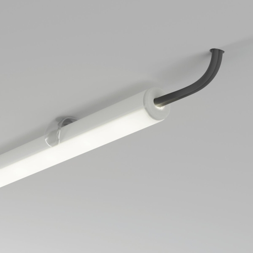 wiz C24321C10TWUH_3.jpg