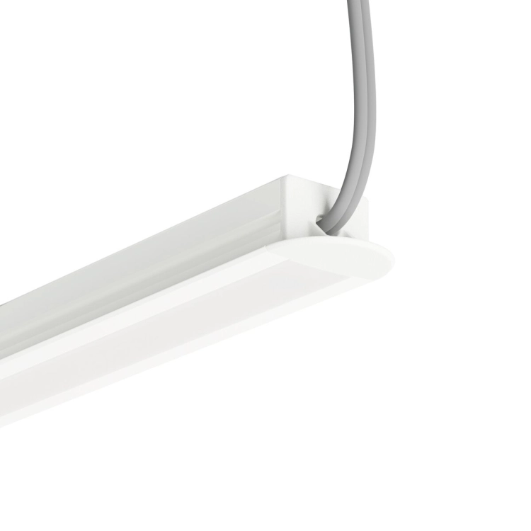 wiz C24428C10TWUH_2.jpg