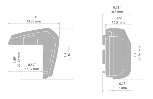 rys C20015T.jpg