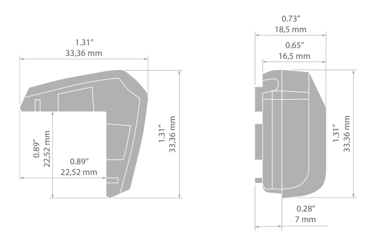 rys C20015T.jpg
