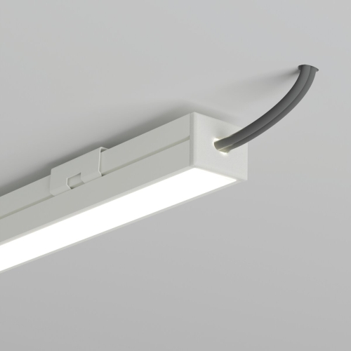 wiz C24337C10TWUH_3.jpg