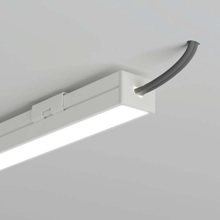wiz C24337C10TWUH_3.jpg