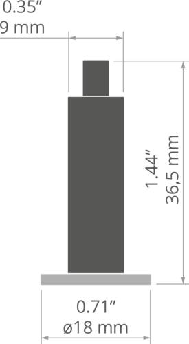rys 42246T.jpg
