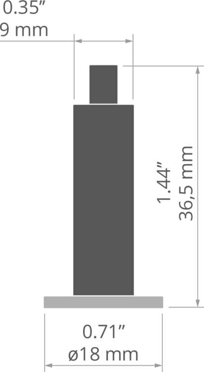 rys 42246T.jpg