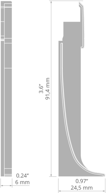 rys C24485T.jpg