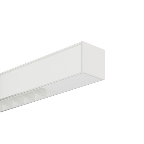 1.optyki_dot_0004_lipod_white.jpg