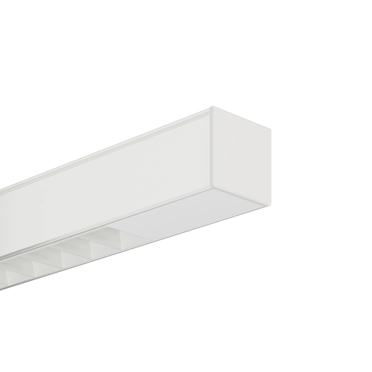 optyki_dot_0004_lipod_white.jpg