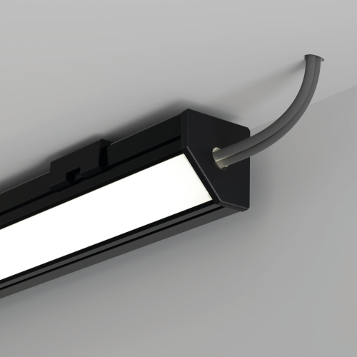 wiz C20007C07TWUH_2.jpg