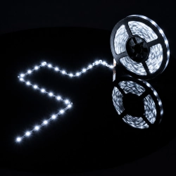 Taśma LED Premium s-shape 12V 60led/m     SMD2835 10.8W/m 6500K IP20 1000lm/m 6mm CRI80 PL5Y 5m