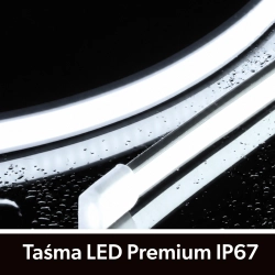 Taśma LED Premium 24V 320led/m COB 10W/m  6500K IP67 700lm/m 10mm CRI90 3Y 50m