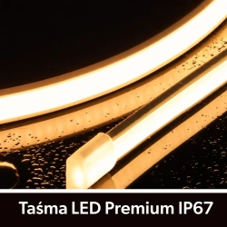 Taśma LED Premium 24V 320led/m COB 10W/m  3000K IP67 700lm/m 10mm CRI90 3Y 50m