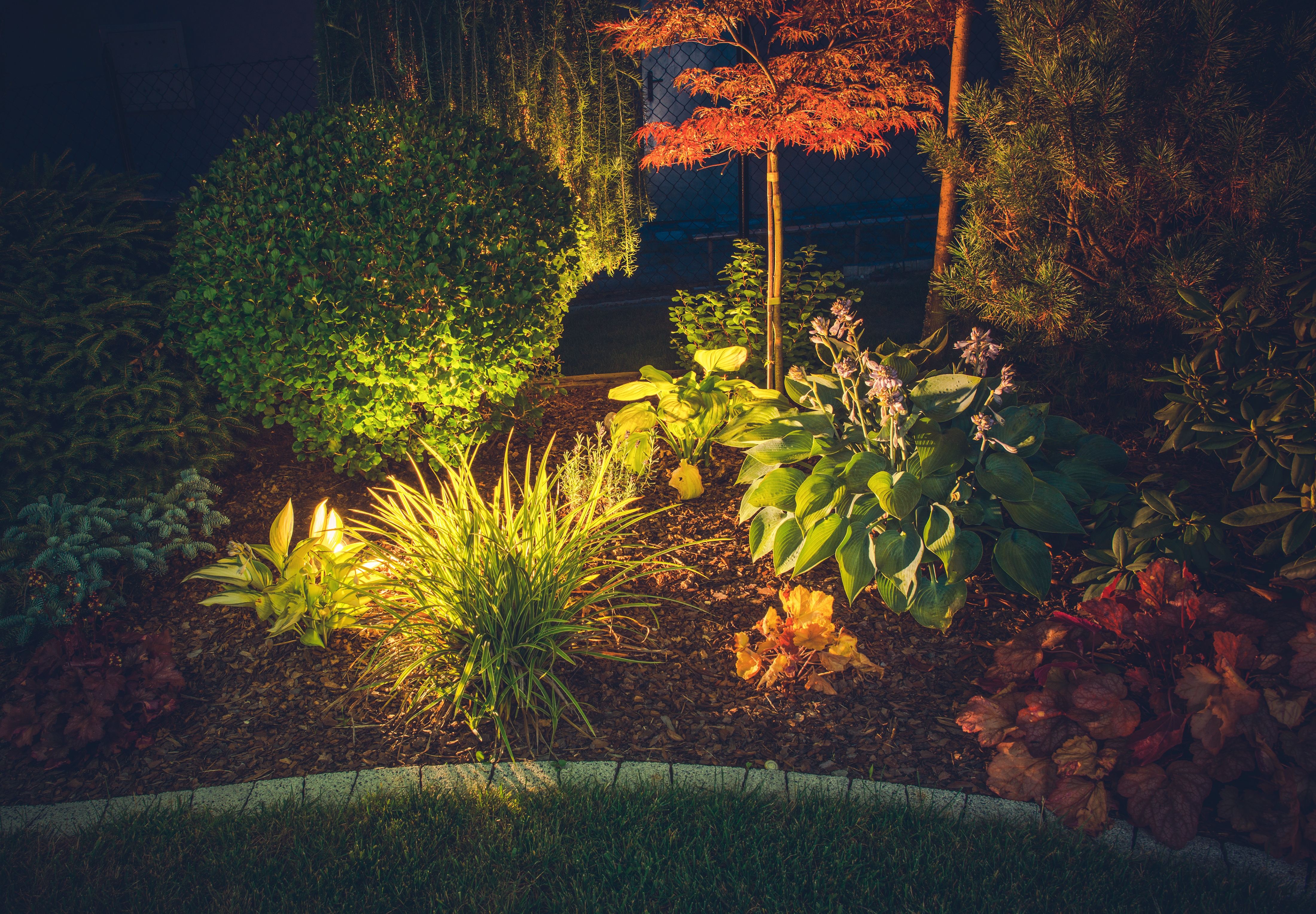 garden-ambient-lighting-2025-03-14-15-20-50-utc.jpg